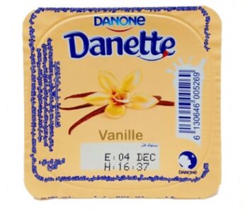 Cr?me ? la vanille Danette – 85g