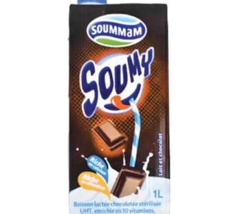 Boisson lact?e chocolat?e Soumy – Soummam – 1L